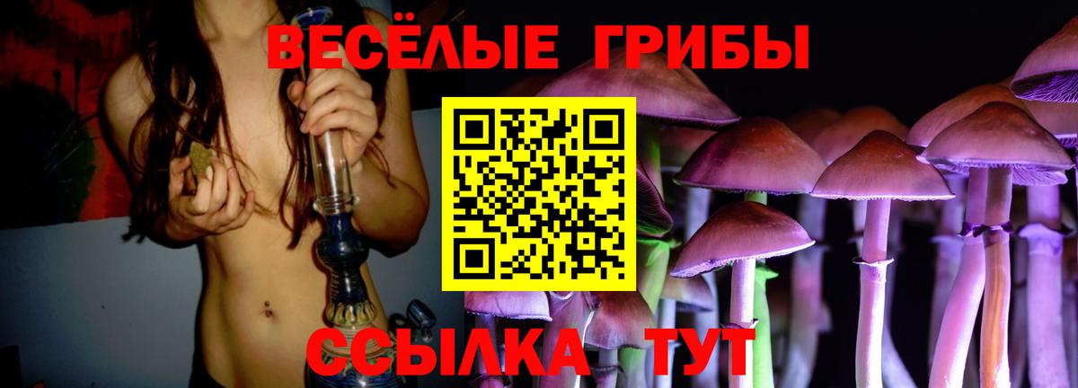 Можга  Псилоцибиновые грибы ЛСД  Вход с VPN  Галлюциногенные грибы ЛСД 